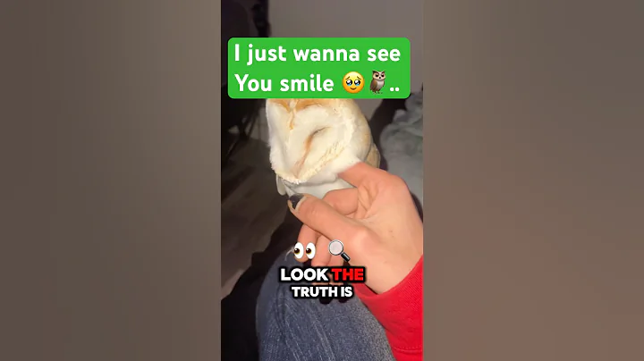 Day 175 of trying to be the most Famous owl on YouTube💖🦉#smile #shorts #cutiepie #birdwatching #hi