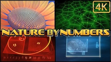⁴ᴷ NATURE BY NUMBERS ⁴ᴷ