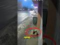 An elderly women helps cute puppies🥹🐶#shorts #help #dog #viral