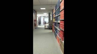 Library Behavior