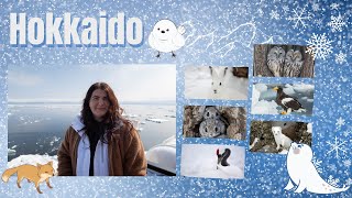 Searching for Hokkaido animals | Hokkaido Part III | Japan Travel Vlog