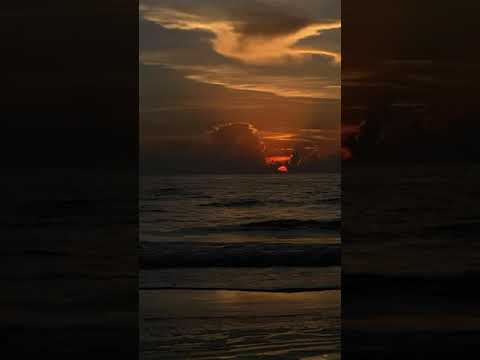 sunrise WhatsApp status