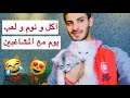 Video with cats without a goal / يوم مع القطط المشاغبين ( اكل و نوم و ولعب ) بس 😂💔 / Mohamed Vlog