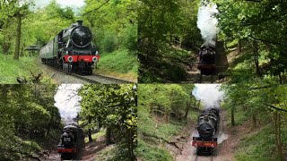 Epping & Ongar Railway 'Festival of Steam Gala' 5th May 2024