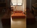 小さな部屋の神アイテム！折りたたみソファベッド🛋️🛏️#sofabed #foldablesofabed #livingroomideas #home #sofa #shorts