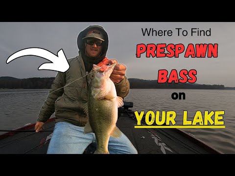 Pre-Spawn Bass Fishing