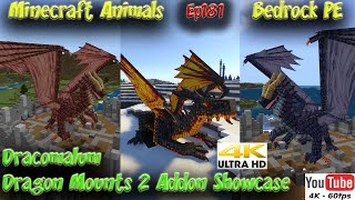 Dracomalum Dragon Mounts 2 Addon Showcase Ride Dragons Minecraft Bedrock PE Minecraft Animals Ep181 screenshot 4