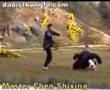 China kungfu  wudang kungfu master chen shixing 