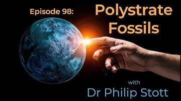 98 | Polystrate Fossils