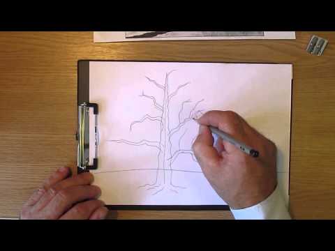 Как рисовать дерево дуб. Часть 1. Урок 11. How to draw oak tree. Lesson 11