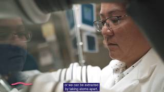Rosaura Ham-Su - Nuclear Fuel Scientist