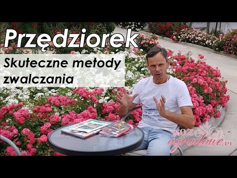 Wideo: Jak zapobiec rozprzestrzenianiu się Pinkye: 14 kroków (ze zdjęciami)