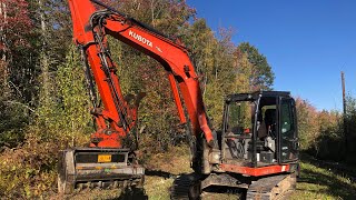 WHY I CHOSE AN EXCAVATOR MULCHER OVER A SKID STEER