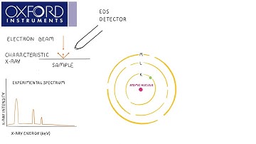 Introduction to EDS – Oxford Instruments Bitesized Learning