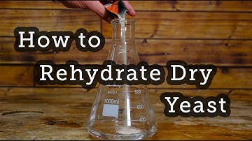 How to Rehydrate Dry Yeast - The Modern Homebrewer
