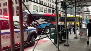 Found the NY waterway bus