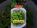 UNANG ANI SA 2023, GULAY, SILI, AT KAMATIS #shorts  #loisantv  #funny  #funnyvideo  #shortvideo