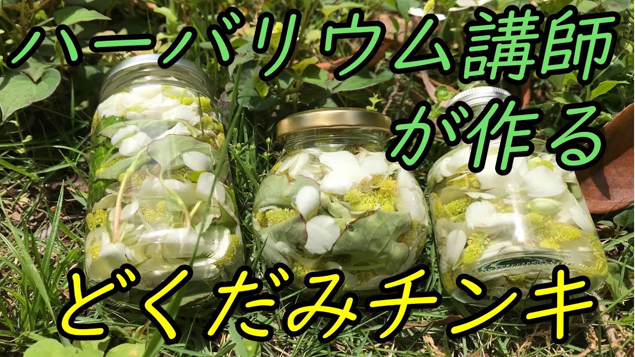 チンキって何？どくだみチンキ。これを見るだけでどくだみチンキの8割
