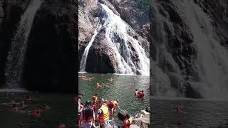 8 марта 2024 г. ГОА. Водопад Дудхсагар (Dudhsagsr). высота 310m, 4каскада