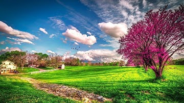 سورة البقرة | للقارئ عبدالعزيز العسيري