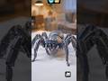 This Robot Should NOT Exist… But It Does 😳🔥