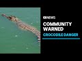 Too close for comfort - a croc cruises a popular swimming spot | ABC News