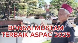 EXTRA LARGE MUSTAM BONSAI || ASPAC GIANYAR 2025