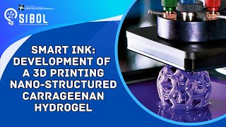 SMART INK: Development of a 3D Printing Nano-Structured Carrageenan Hydrogel