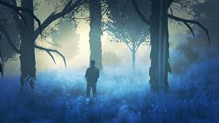 Relaxing Night Ambience for Sleep