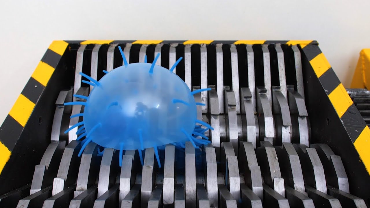 Triturando Globos Peludos!