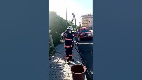 Siteye giren yılanı itfaiye ekipleri yakaladı