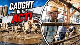 What I Learned at the Marlette Stockyard 