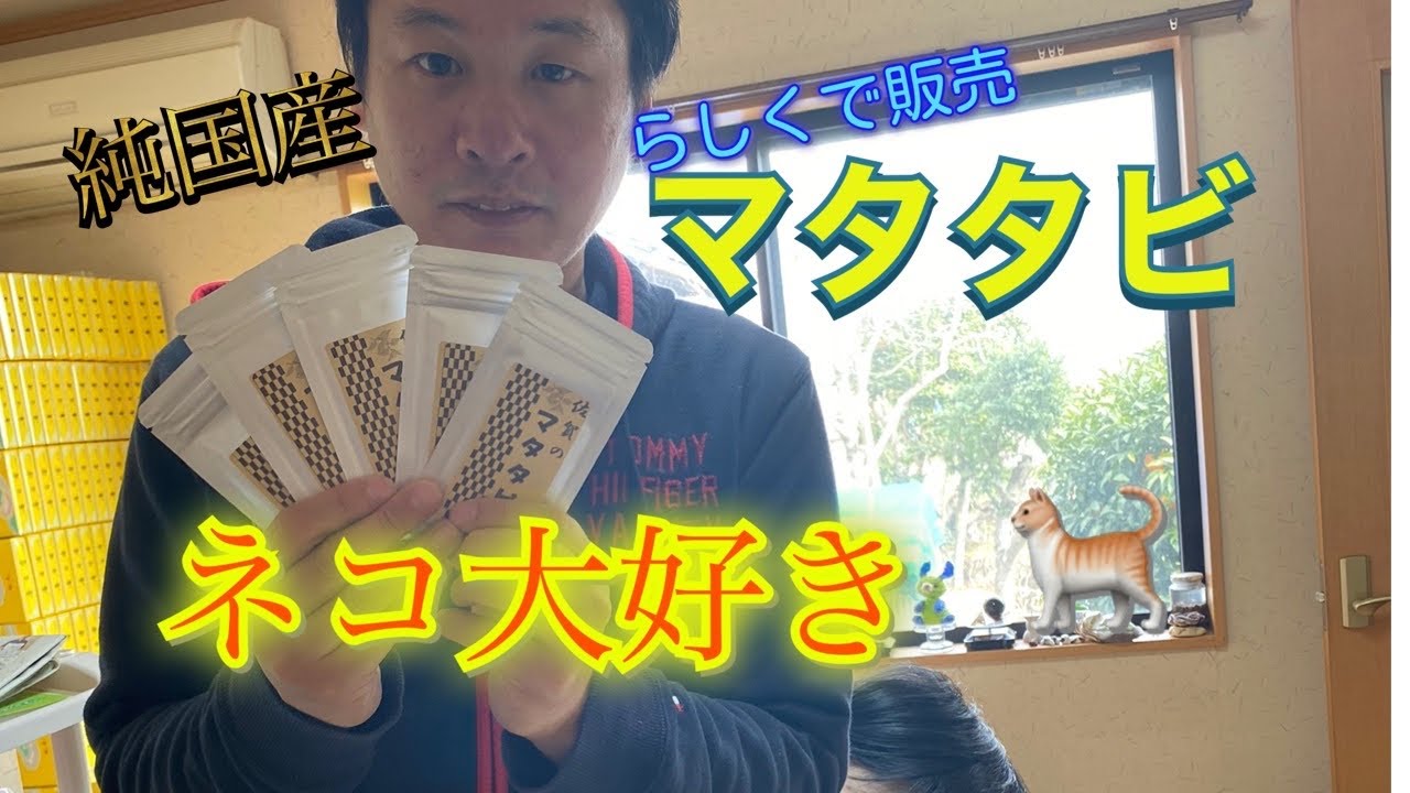 またたび らしくで販売している商品の紹介 ねこにまたたび Youtube またたび らしくで販売している商品の紹介 ねこにまたたび Youtube