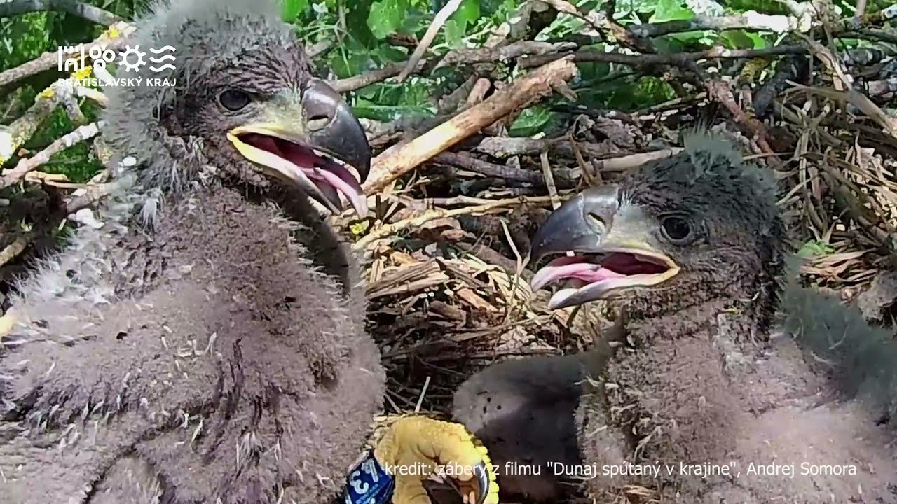 DUNAJ a jehho ramenná sústava