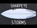 【サーフボード】SHARPEYE STORMS シャープアイ ストームズ 中級者が乗ったらどうか？【サーフィン】