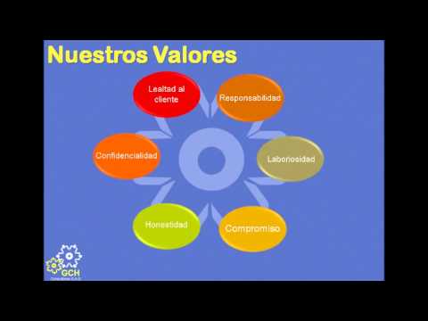 Gestion del capital forex