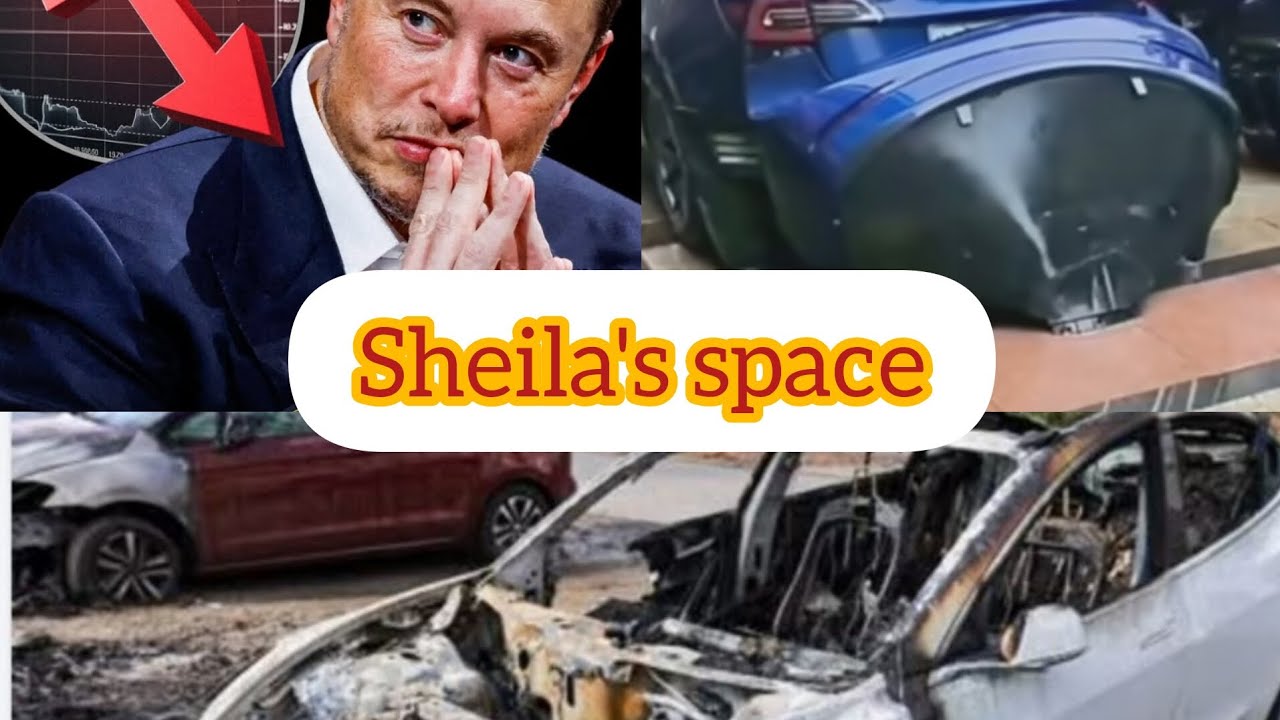 Hatred for Elon Musk and Tesla reaches boiling point across the globe.