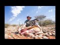 Springbok hunt at Thuru Lodge, South Africa