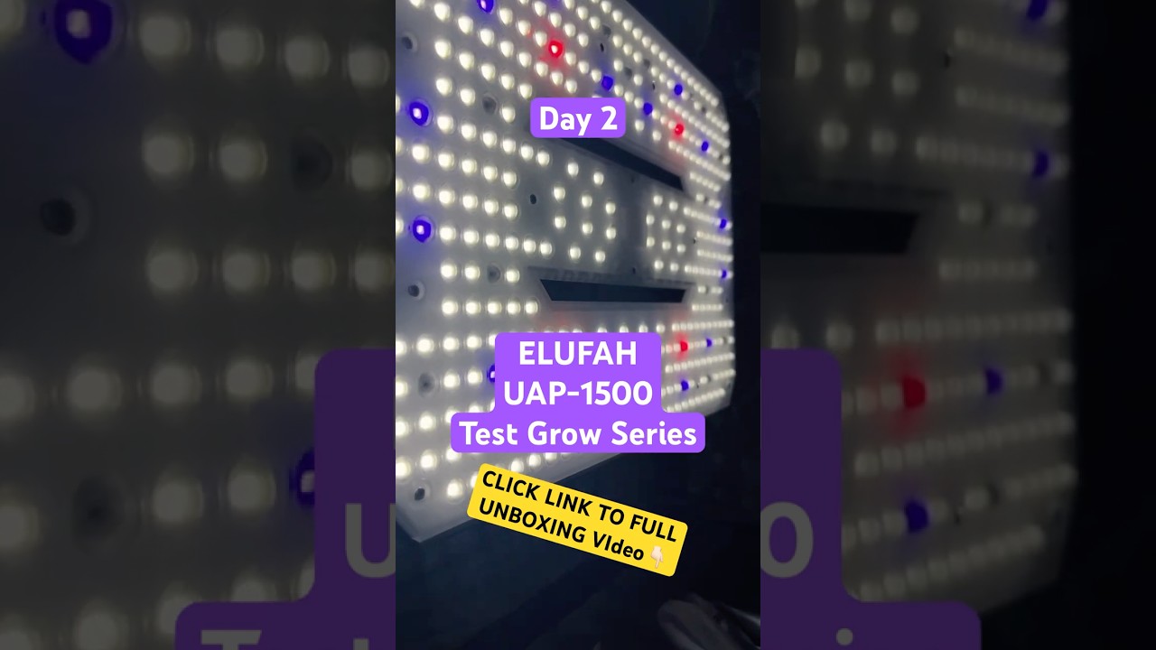 My Spaceship Grow Light!- ELUFAH UAP-1500 TEST GROW SERIES! Day2