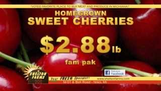 Shelton's Weekly Ad - 7/1/2013