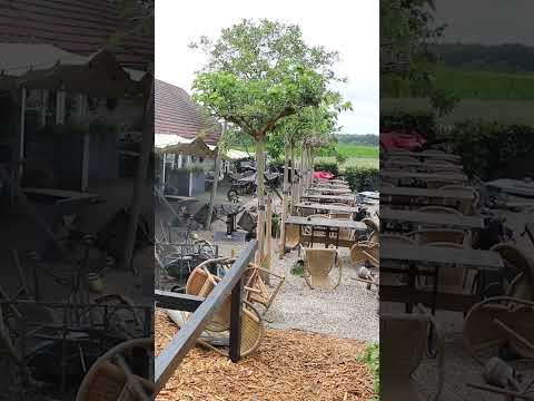 Tornado in Apeldoorn?! Kan dat? 'Er ging zelfs een caravan de lucht in!'