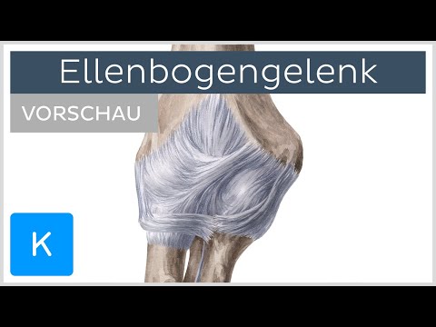 Video: Ellbogen Knochen Anatomie, Diagramm & Funktion - Körperkarten