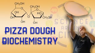 Pizza Dough Biochemistry - Fireside Pizza | Science Around Cincy