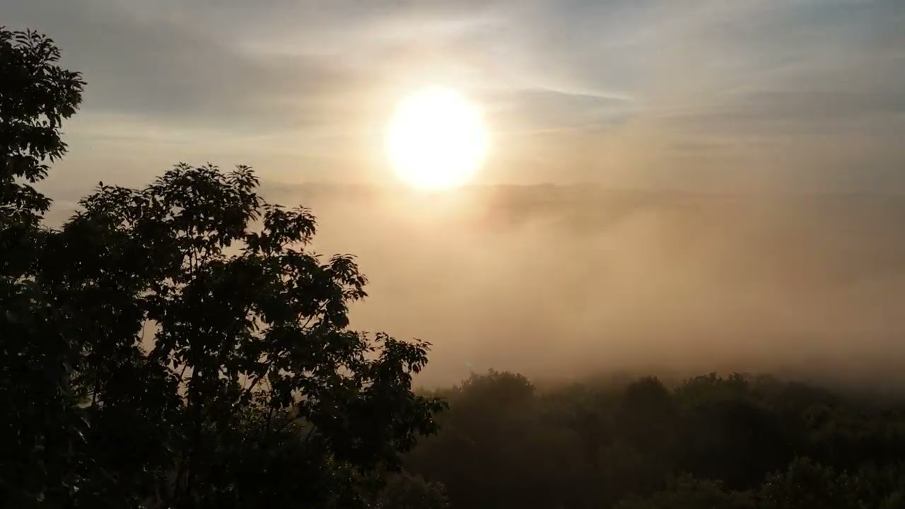 Jump Off Rock - 8.1.24