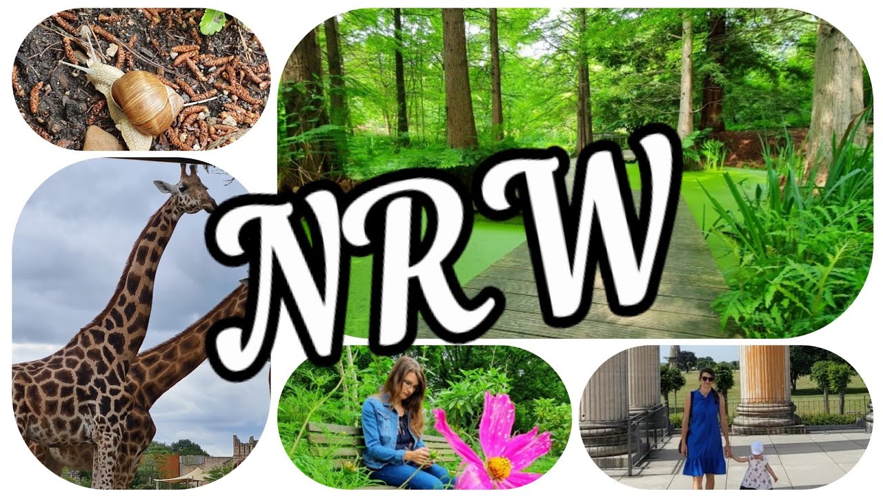 Unsere beliebtesten Ausflugsziele mit Kindern in NRW - Die 10 schönsten Ausflugsmöglichkeiten