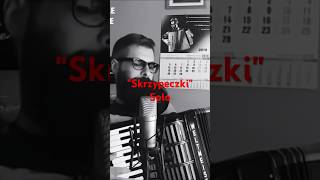 Video thumbnail of "Skrzypeczki #2 | #biesiada #wesele #akordeon #viral #shorts #folkmusic #polish #bossmusic #accordion"