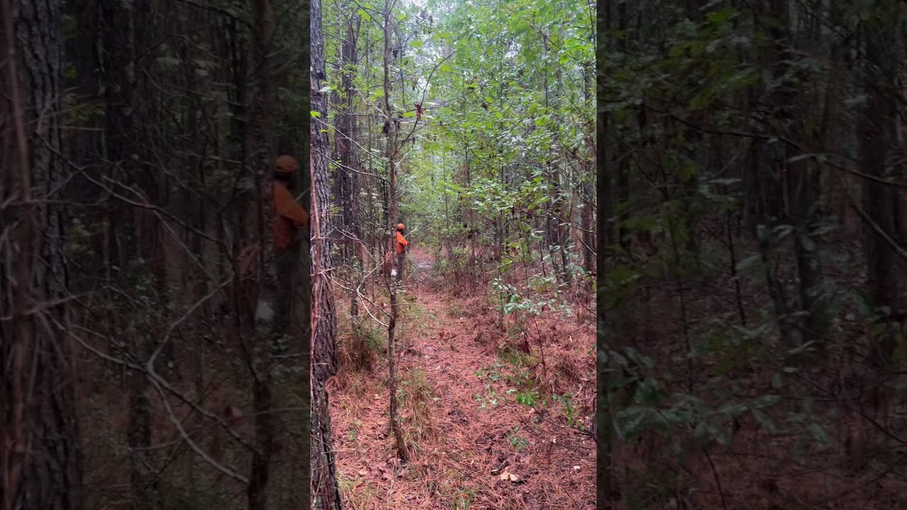 Hard to hear one in this rain!!! 