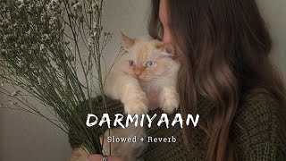 Darmiyaan  Lafzo Se Jo Tha Pare slowed Reverb Lofi Vibe