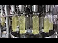 Линия розлива растительного масла в ПЭТ бутылки производительностью 6000 бут/час