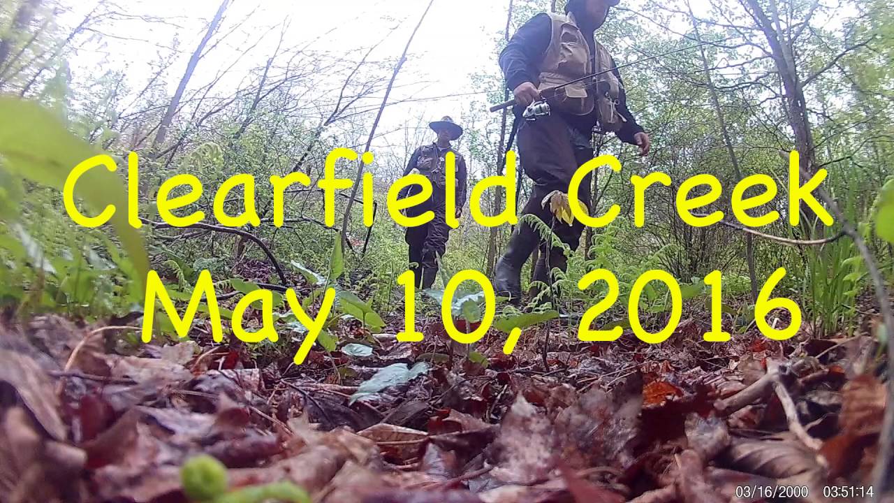 Fishing Clearfield Creek May 10, 2016 YouTube
